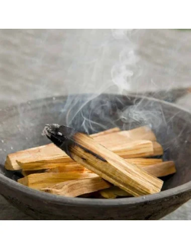 1 Bois Sacré Palo Santo