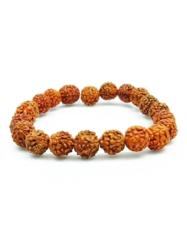 2 Bracelet Rudraksha l'Œil de Rudra