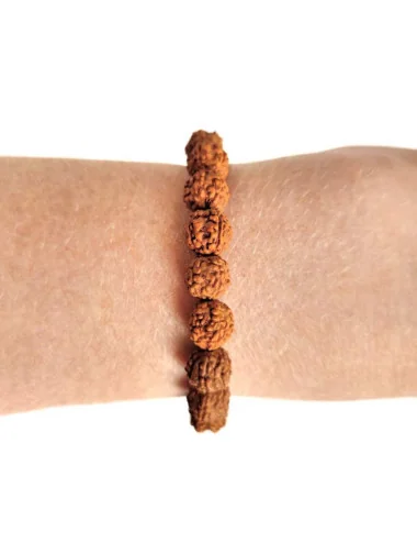 2 Bracelet Rudraksha l'Œil de Rudra